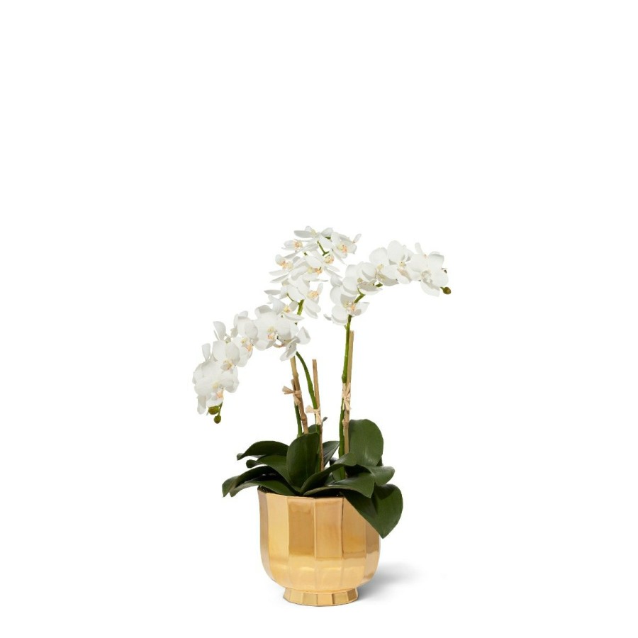 Home Decor AERIN x Diane James Vases & Cachepots | White Phalaenopsis Orchid And Delmara Small Cachepot, Gold