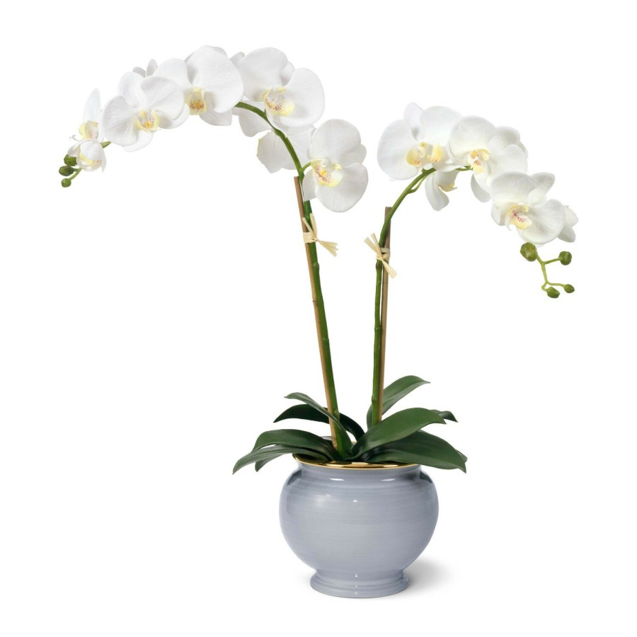 Home Decor AERIN x Diane James Vases & Cachepots | White Orchid And Siena Cachepot